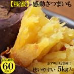 訳あり5キロ熟成紅はるか 感動さつまいも