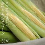 ふるさと納税 南大隅町 【先行予約】【朝獲り当日出荷】ヒゲまで美味しい 皮つきヤングコーン30本