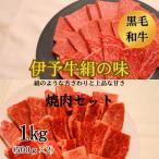★焼肉食べ比べセット★ 伊予牛絹の味 焼肉用ロース500