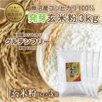 ふるさと納税 南魚沼