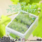 マスカット オブ アレキサンドリア 400g×2房