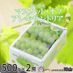 マスカット オブ アレキサンドリア 500g×2房