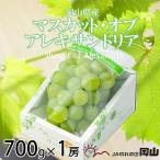 マスカット オブ アレキサンドリア 700g×1房