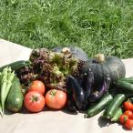 旬の野菜詰め合わせ 栽培期間中農薬不使用