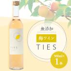 ふるさと納税 若狭町 福井県若狭町　Japanese apricot wine(梅ワイン)　500ml