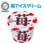 ふるさと納税 高知市 久保田食品の苺アイスクリーム 12個 添加物不使用【AC218】