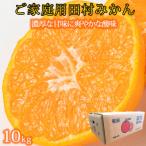 ふるさと納税 紀美野町 【2025年11月下旬より発送】【ご家庭用訳あり】田村みかん 10kg