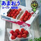 春にお届け 丁度いい 福岡産はるあまおう3パック