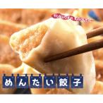 ふるさと納税 水巻町 黒豚入りめんたい餃子　50個入り