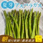 fu.... налог Okawa город [ утро .. прямая поставка ] Fukuoka префектура производство .. лето . спаржа 1kg(L-M размер )