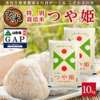 SB1041 特別栽培米つや姫 10kg