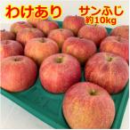 ふるさと納税 三戸町 【訳あり】りんご【サンふじ】約10kg(24〜40玉)【2025年産・先行予約】
