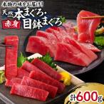 本物の味をお届け 天然まぐろ赤身づくしお刺身セット