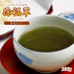 延岡産 徐福草 ヒュウガトウキ 粉末 100g