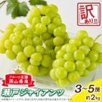 訳あり朝採り新鮮 ぶどう瀬戸ジャイアンツ2kg