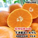 下津蔵出しみかん 高糖系品種 丹生系 約2kg