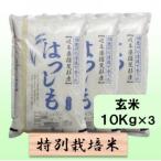 特別栽培米 30kg