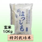 米 特別栽培米 令和8年産 精米 10kg