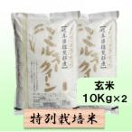 特別栽培米 20kg