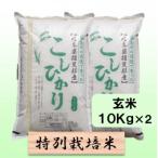 特別栽培米 20kg
