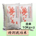 特別栽培米 20kg