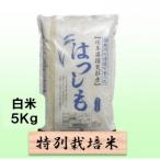 特別栽培米 5kg