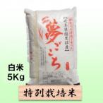 特別栽培米 5kg