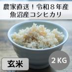 魚沼産コシヒカリ 山清水米 精米2kg