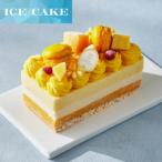 ふるさと納税 尼崎市 アンリ・シャルパンティエ監修アイスケーキ ガトーグラス トロピカル 1台(2~3名様)