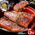 ふるさと納税 志布志市 楠田の極うなぎ蒲焼き170g以上×5尾(計850g以上) c7-004