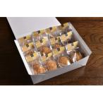 ふるさと納税 伊万里市 シューアイス 12個