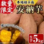 種子島産安納芋 約5kg