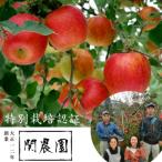創業100年 関農園の特別栽培認証シナノスイート 約5kg
