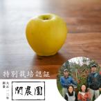 創業100年 関農園の特別栽培認証 シナノゴールド 約5kg