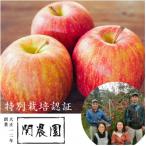りんご シナノゴールド 約5kg