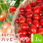 ハッピートマト1kg