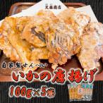 訳あり いか 唐揚げ せんべい 100g