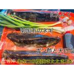 高知沖中土佐久礼かつお冷凍タタキ3節