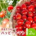ハッピートマト2kg