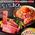 まぐろ専門店 湊魚問屋プレミアムまぐろセット