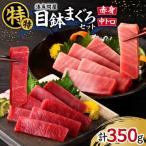 湊魚問屋 特特セット