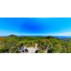 初心者向き 丹波篠山 お気軽ハイキング 登山ガイドと森林浴…