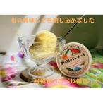 柑橘食べ比べ12個セット