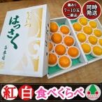 有田はっさく 紅白 食べくらべ 化粧箱