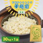 おおかわさんちの華越前 玄米 30kg