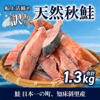 ふるさと納税 斜里町 【訳あり】知床斜里産 天然秋鮭の切り身 約1.3kg 船上活締め