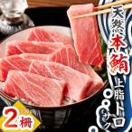 天然本鮪 上脂トロサク 2柵