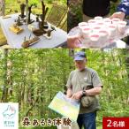 駒ヶ岳山麓リゾート森あるき体験 2名様分