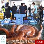 鹿部漁港見学体験 2名様分 道の駅しかべ間歇泉公園