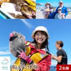船釣り体験 2名様分 道の駅しかべ間歇泉公園